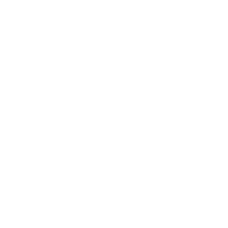 Riot Icon